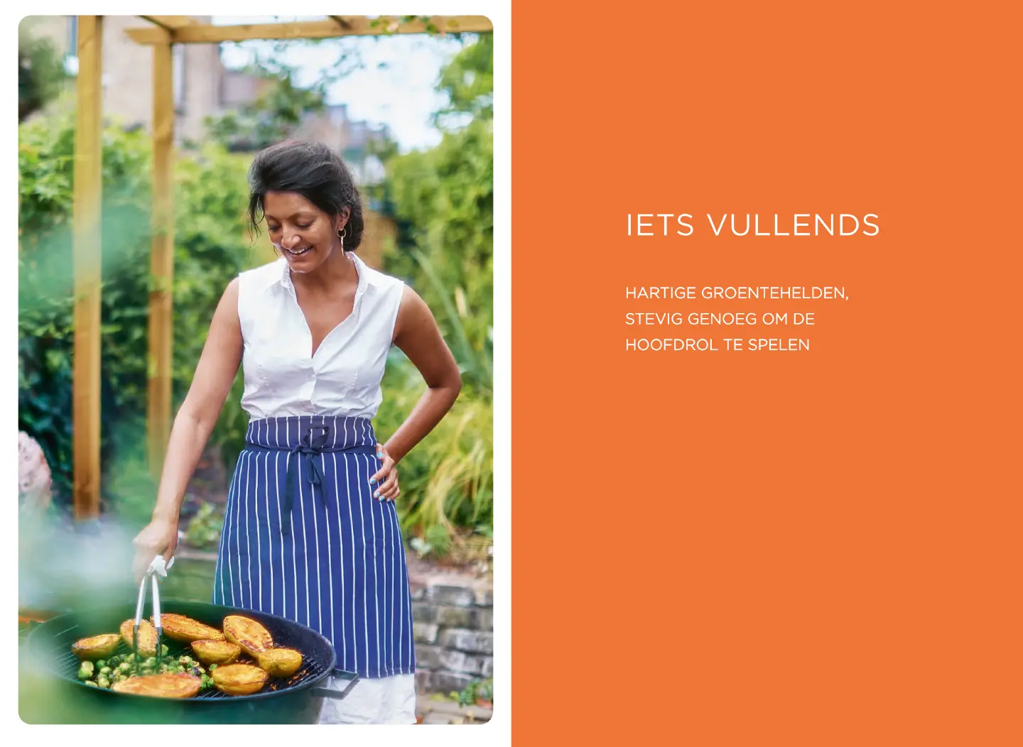 Voorbeeld pagina