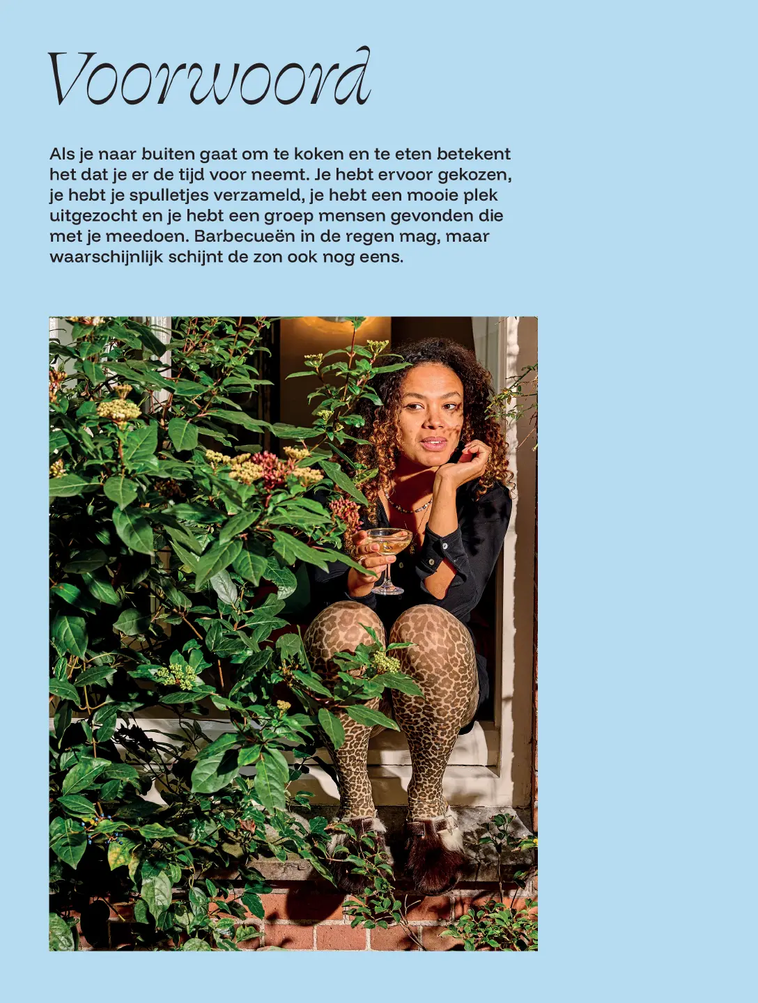Voorbeeld pagina