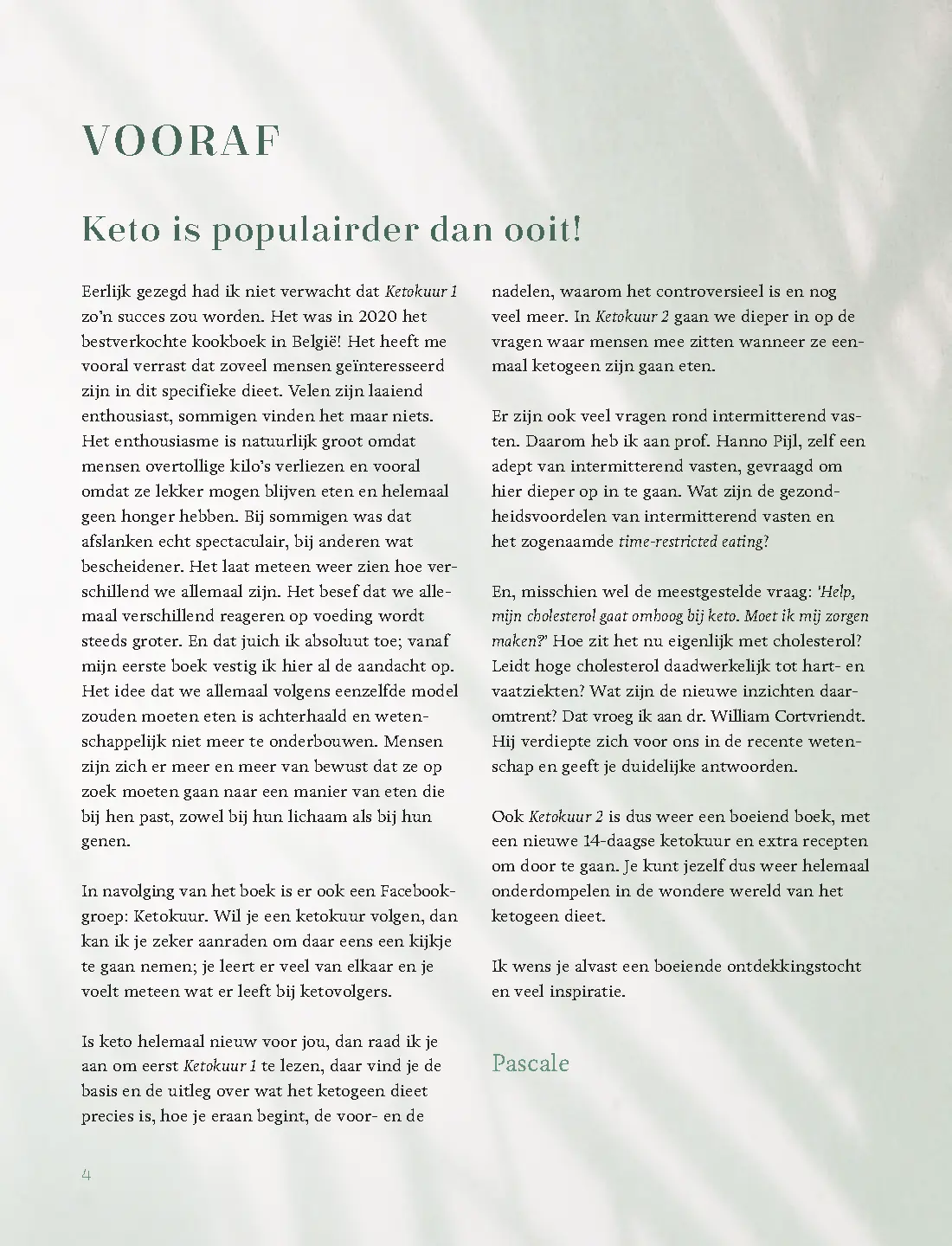 Voorbeeld pagina