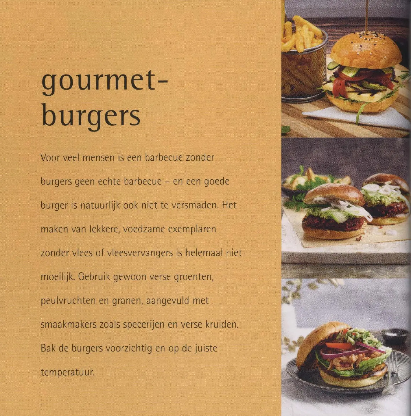 Voorbeeld pagina