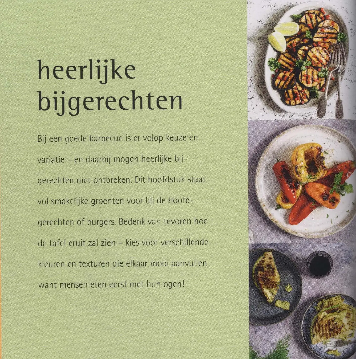 Voorbeeld pagina