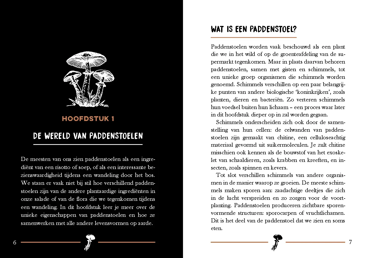 Voorbeeld pagina