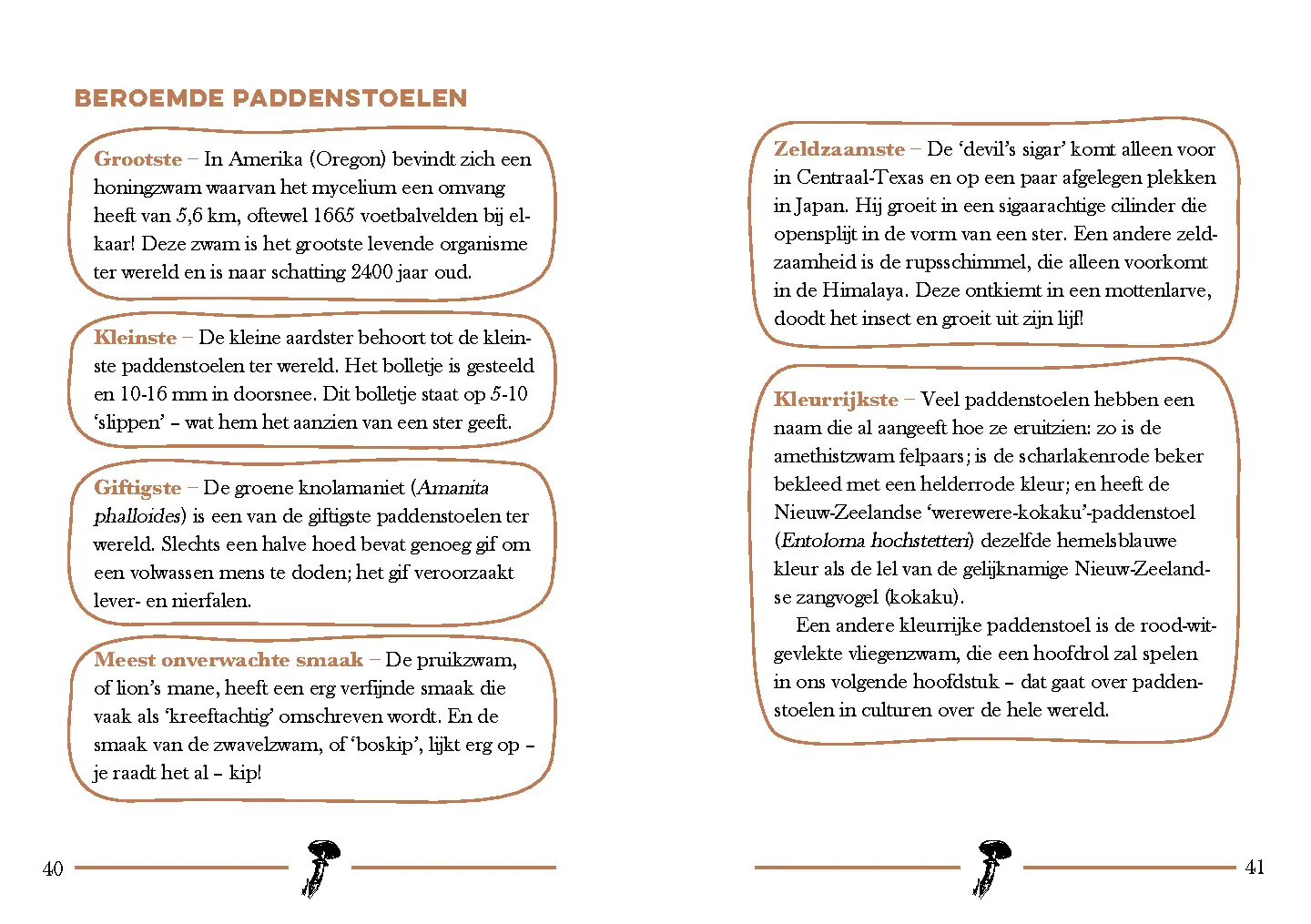 Voorbeeld pagina