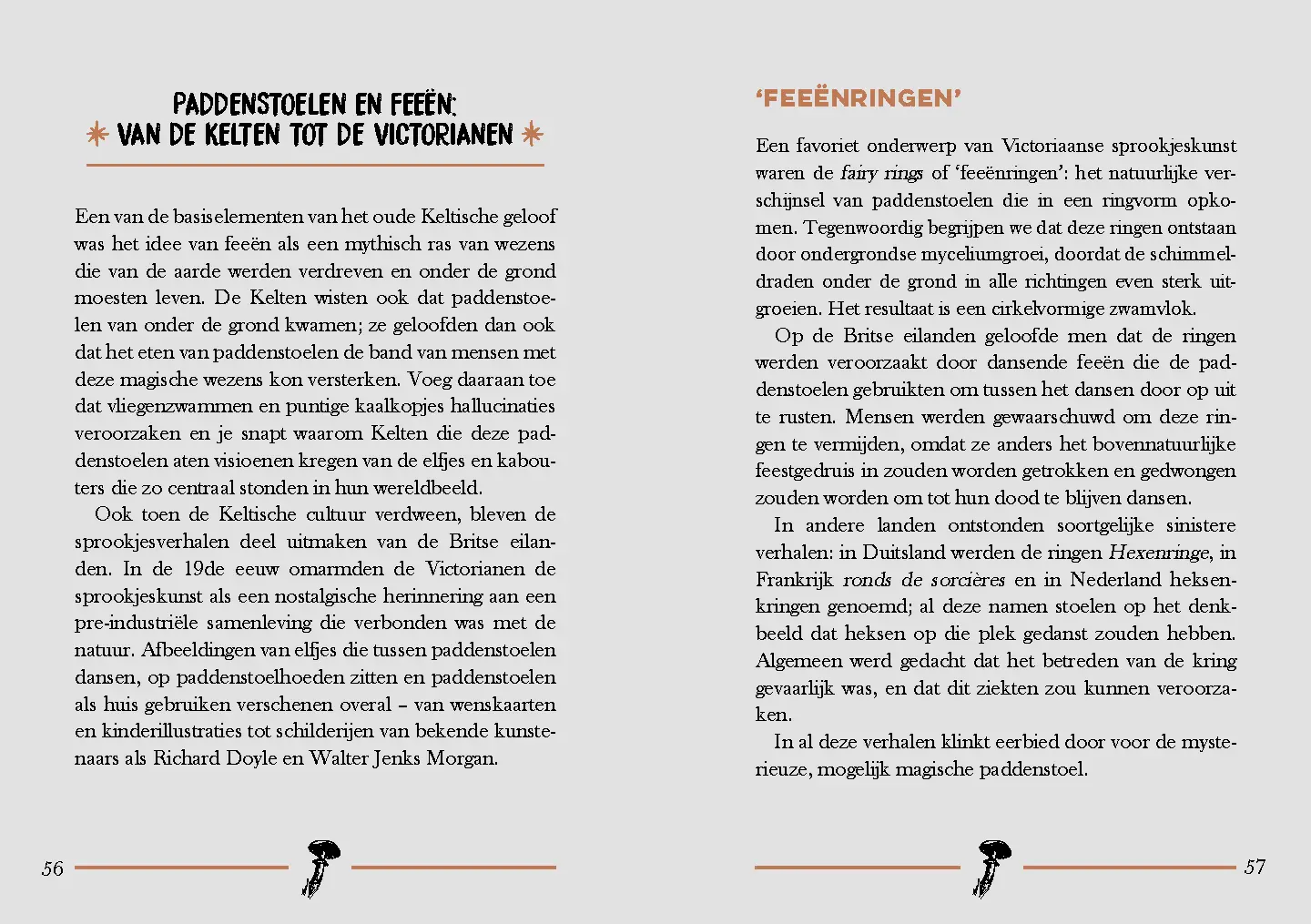 Voorbeeld pagina