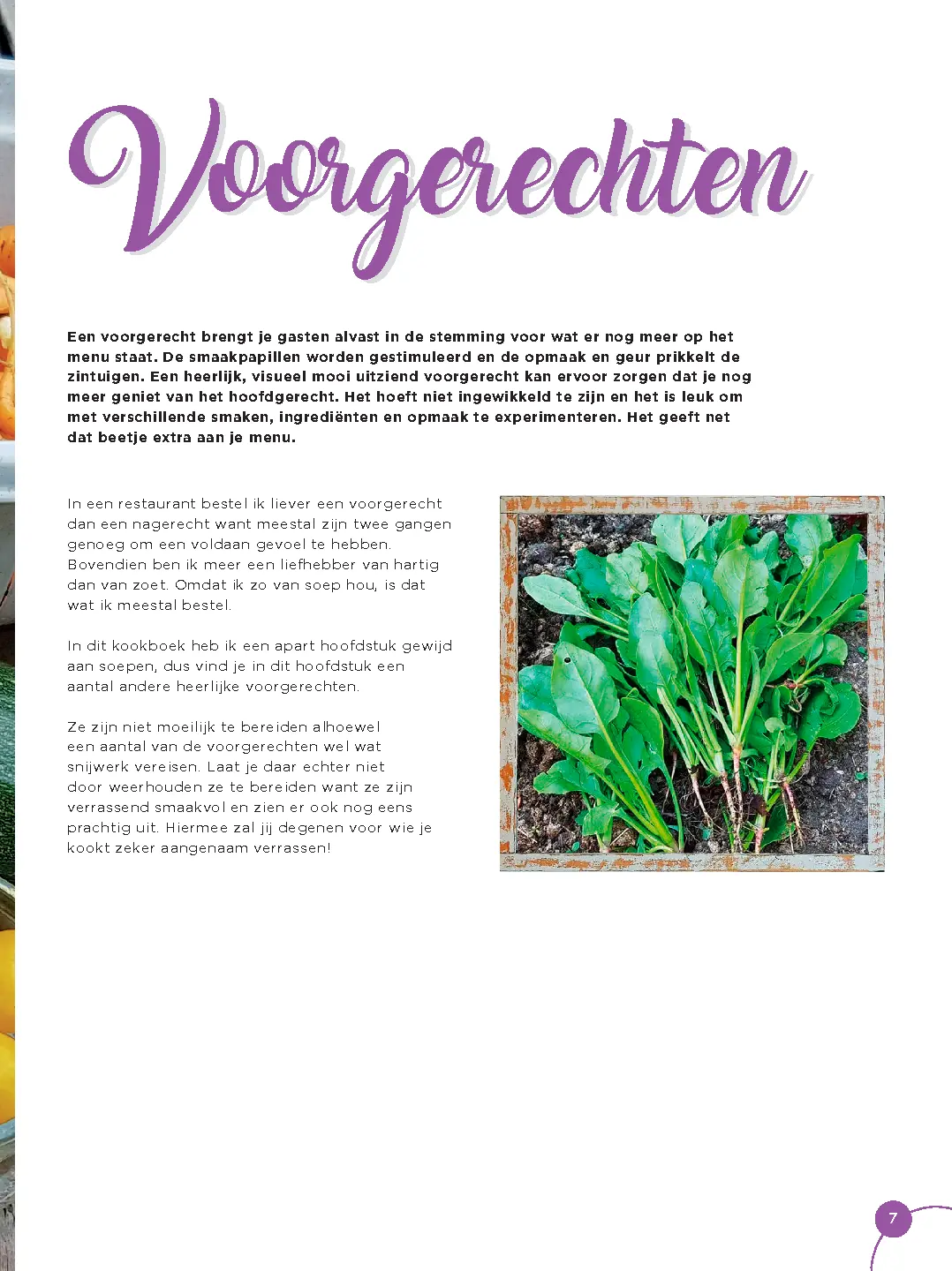 Voorbeeld pagina