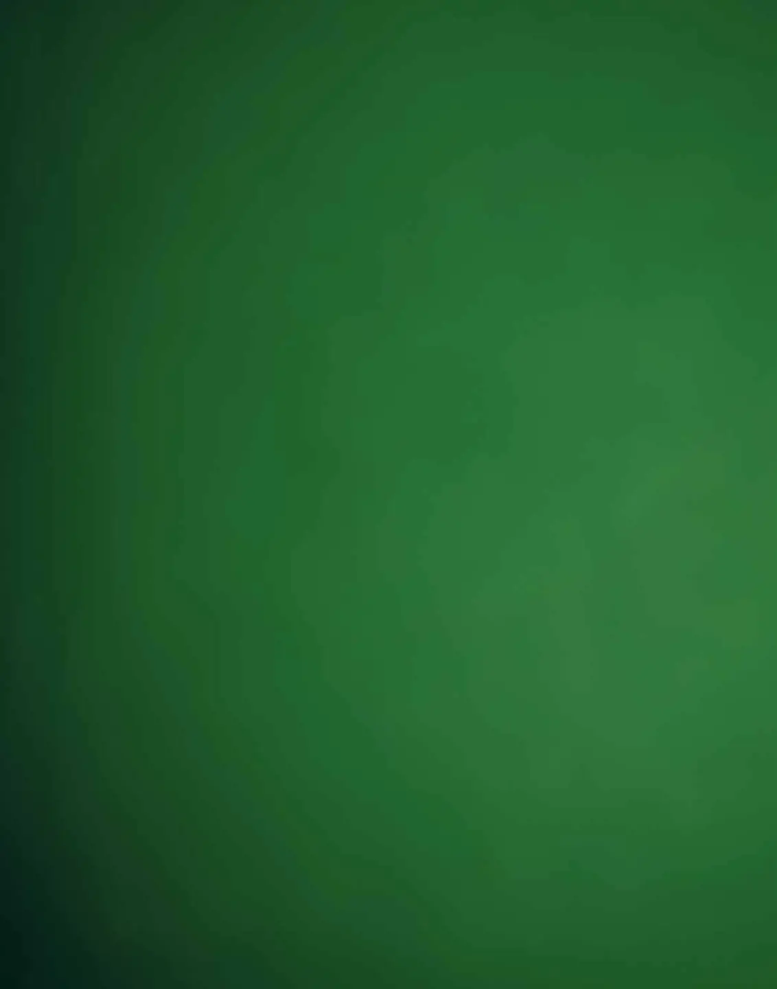 Voorbeeld pagina