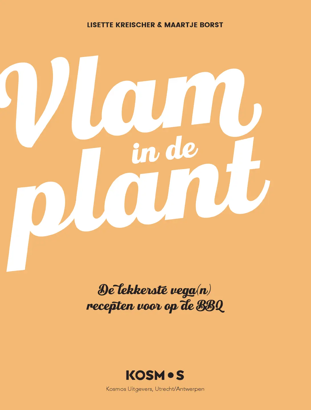 Voorbeeld pagina
