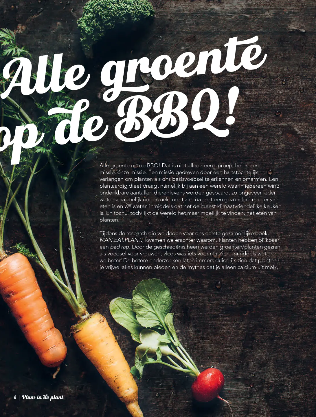 Voorbeeld pagina