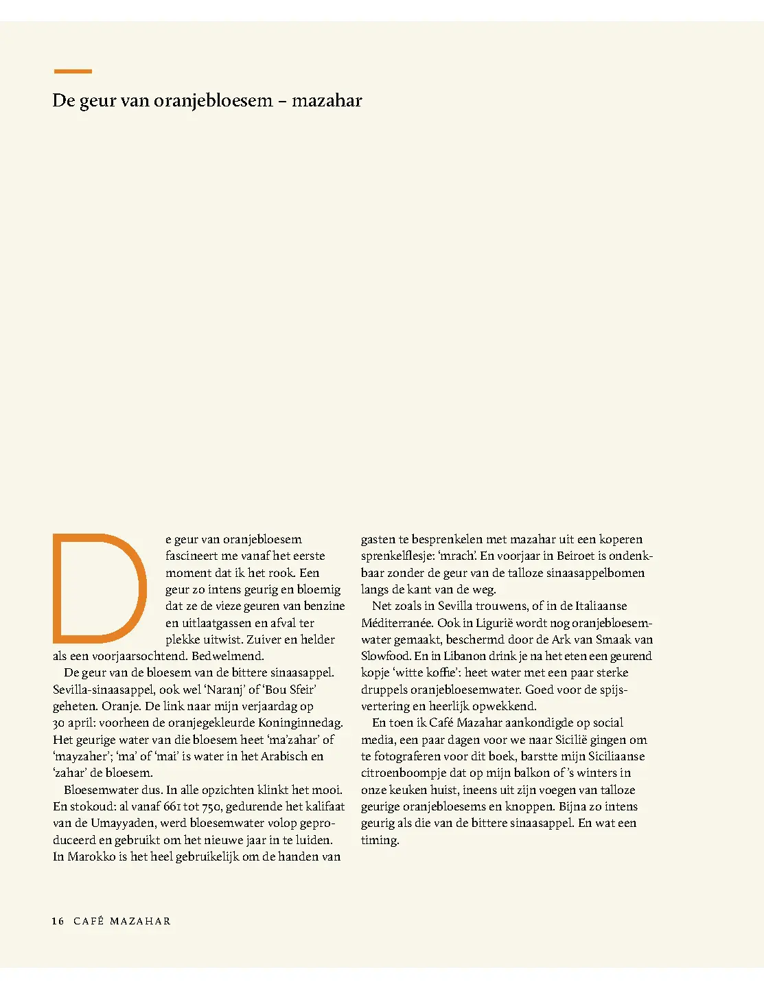 Voorbeeld pagina
