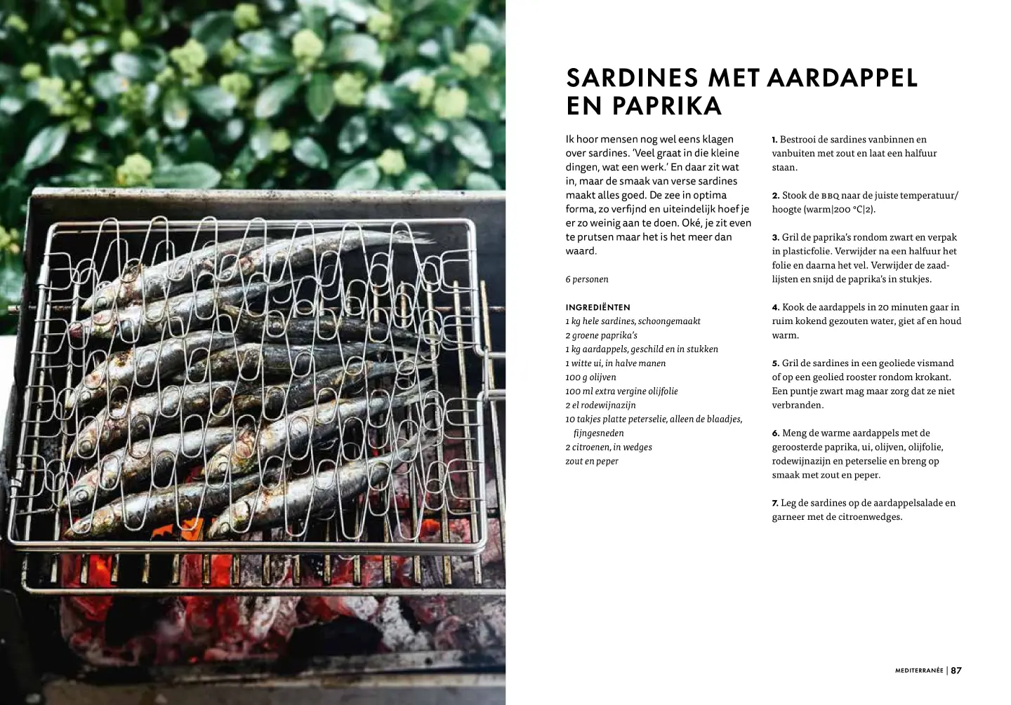 Voorbeeld pagina