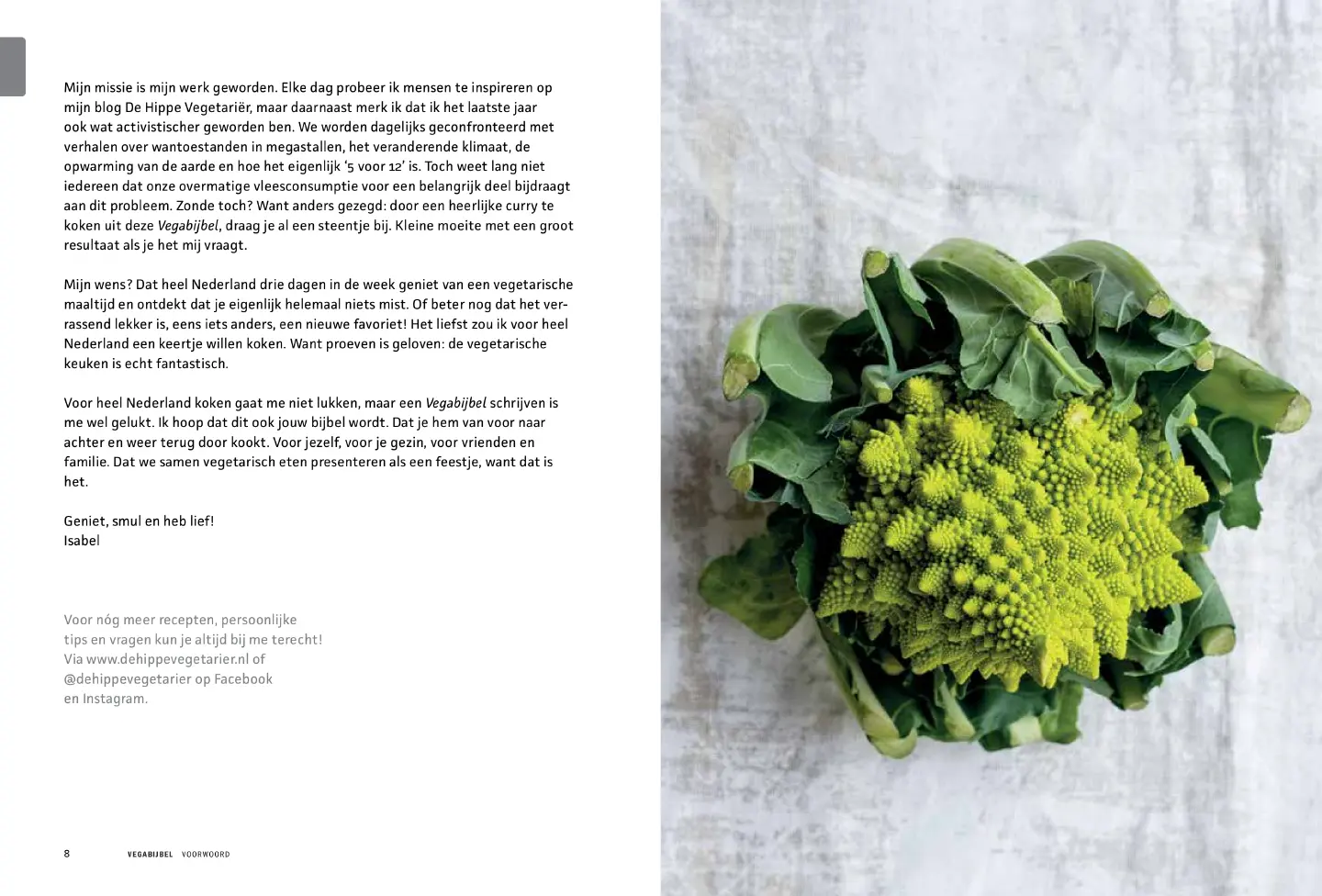 Voorbeeld pagina