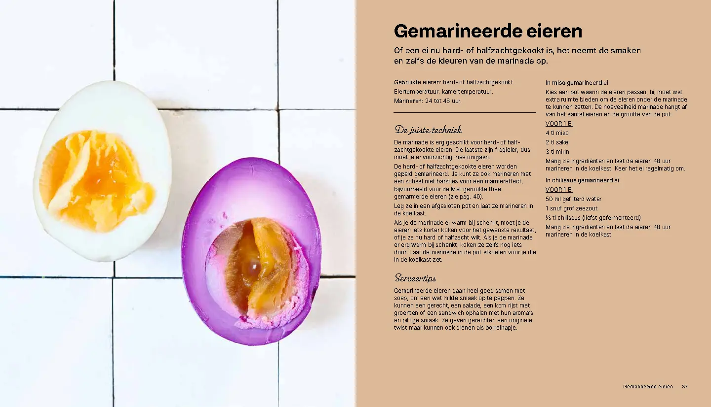 Voorbeeld pagina