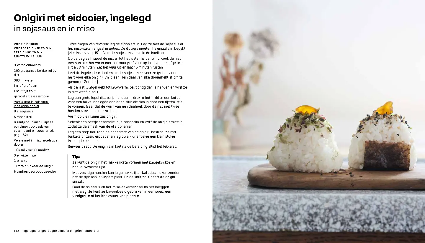 Voorbeeld pagina