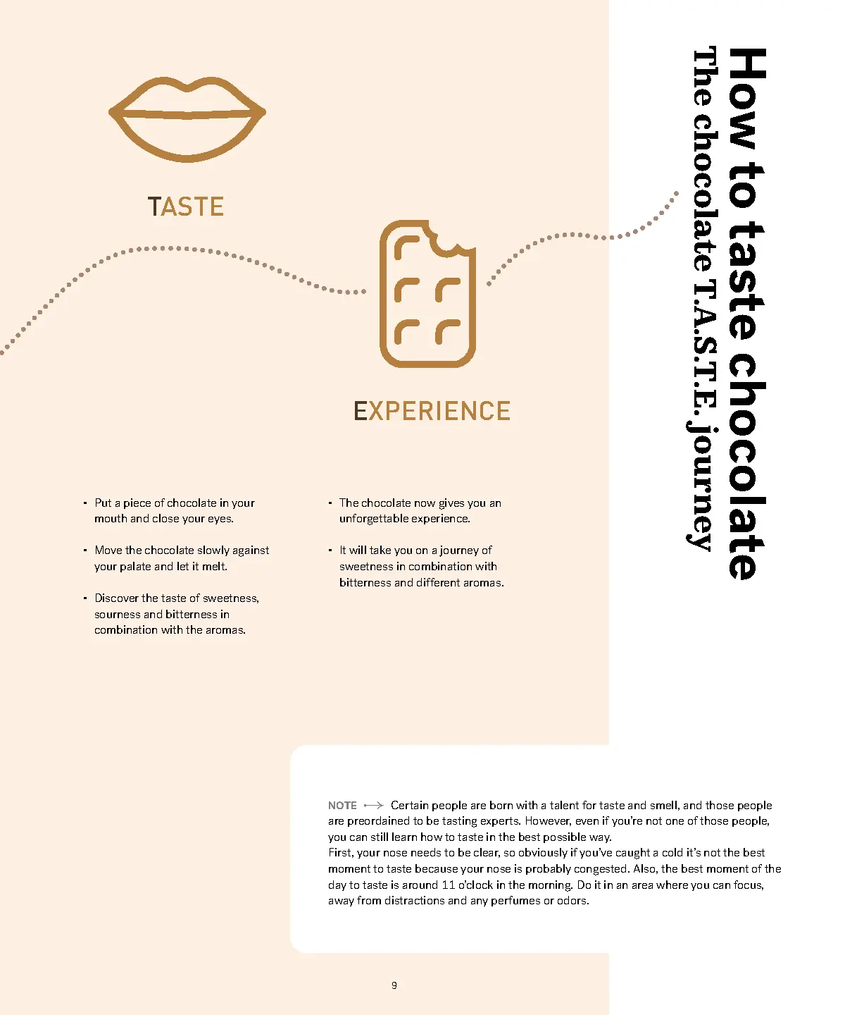 Voorbeeld pagina