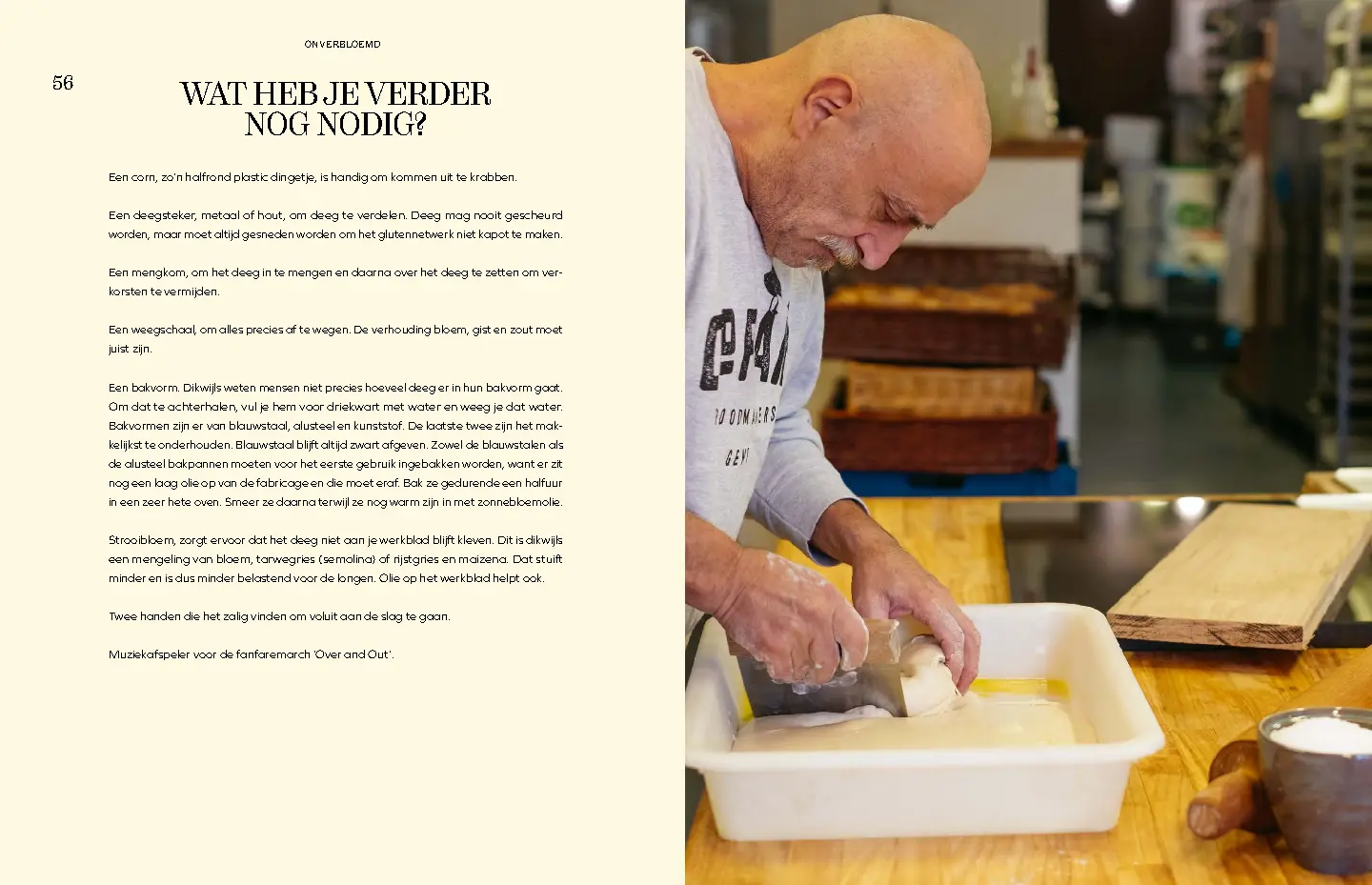 Voorbeeld pagina