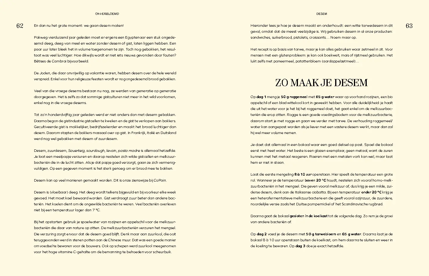 Voorbeeld pagina