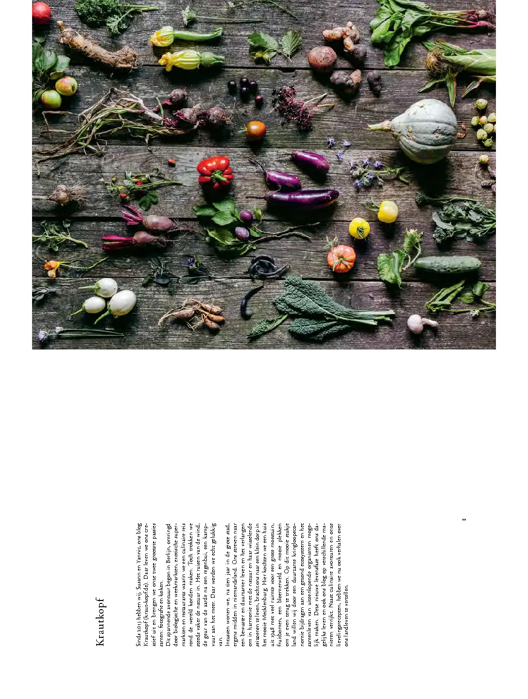Voorbeeld pagina