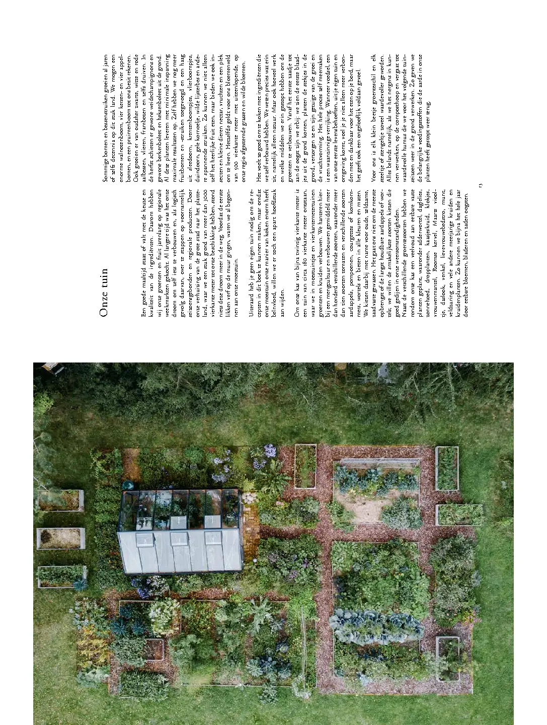 Voorbeeld pagina