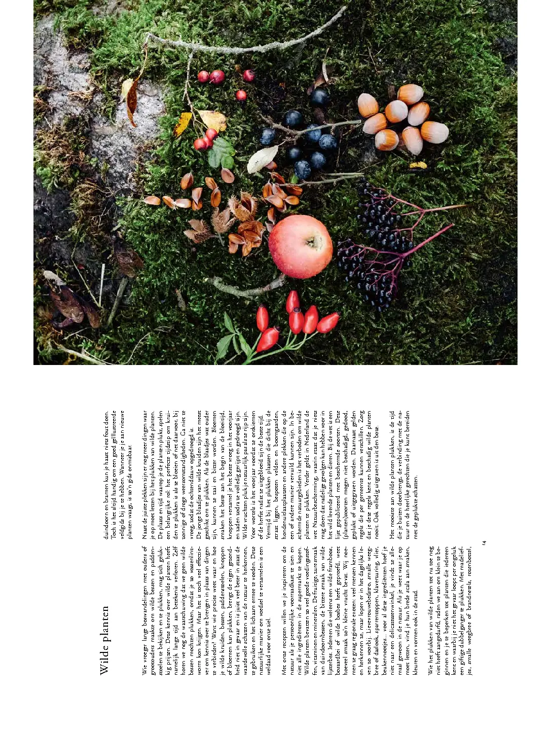 Voorbeeld pagina
