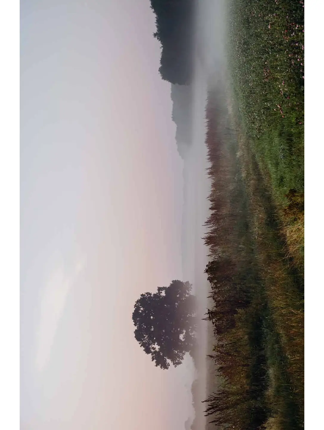 Voorbeeld pagina