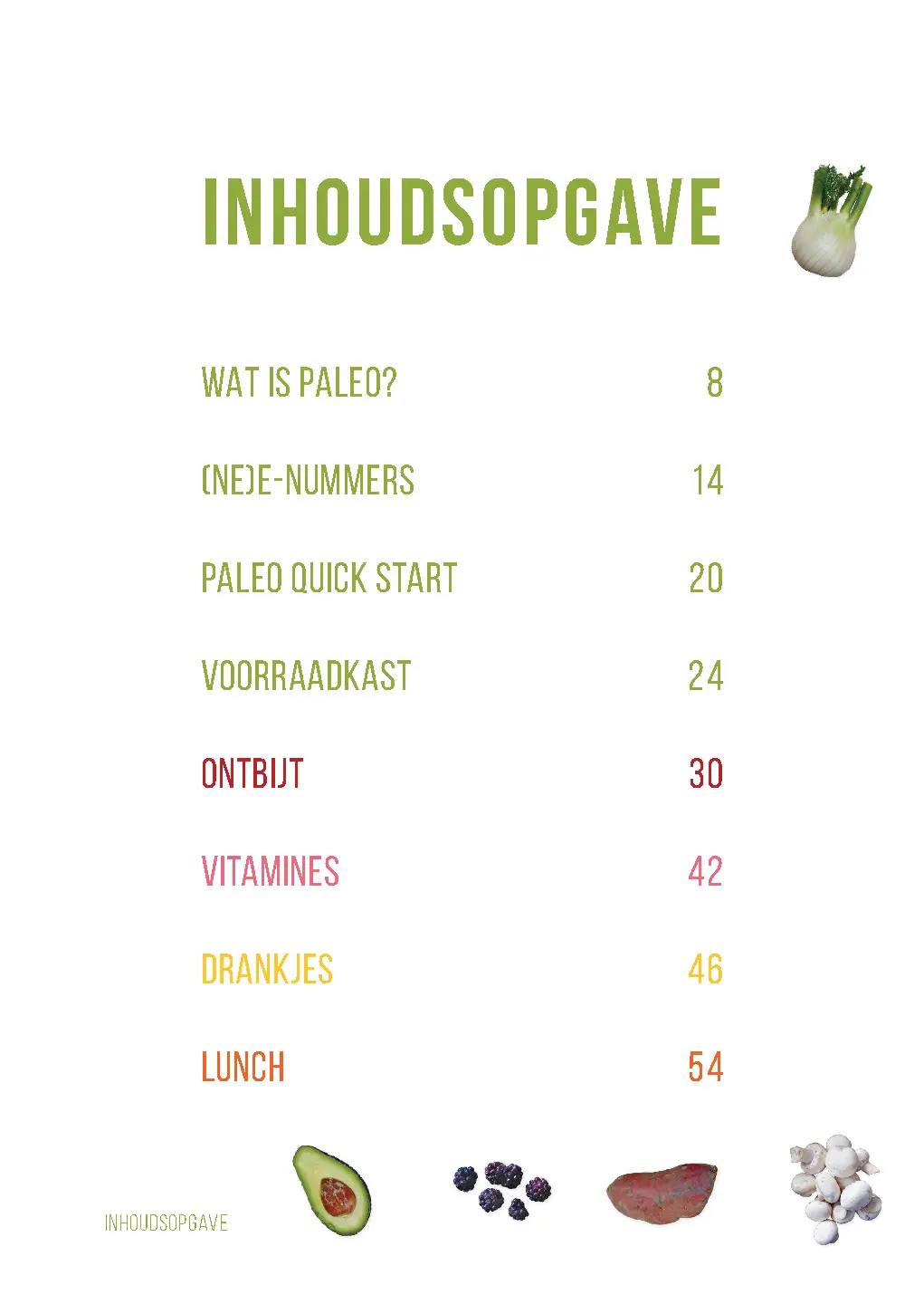 Voorbeeld pagina