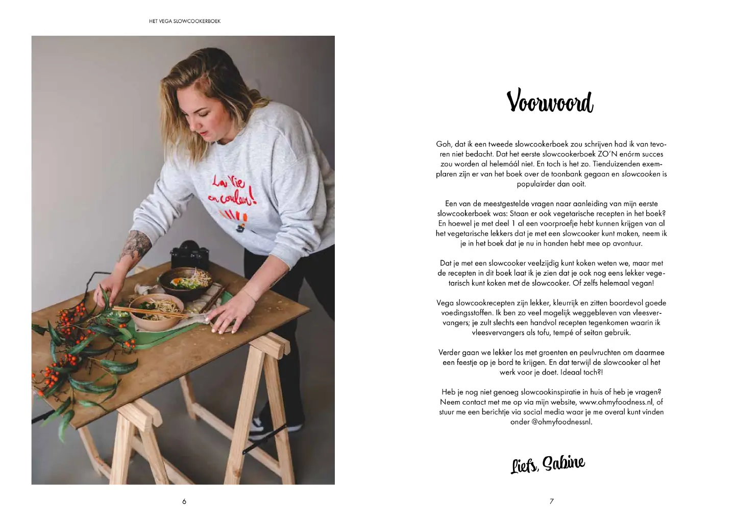 Voorbeeld pagina