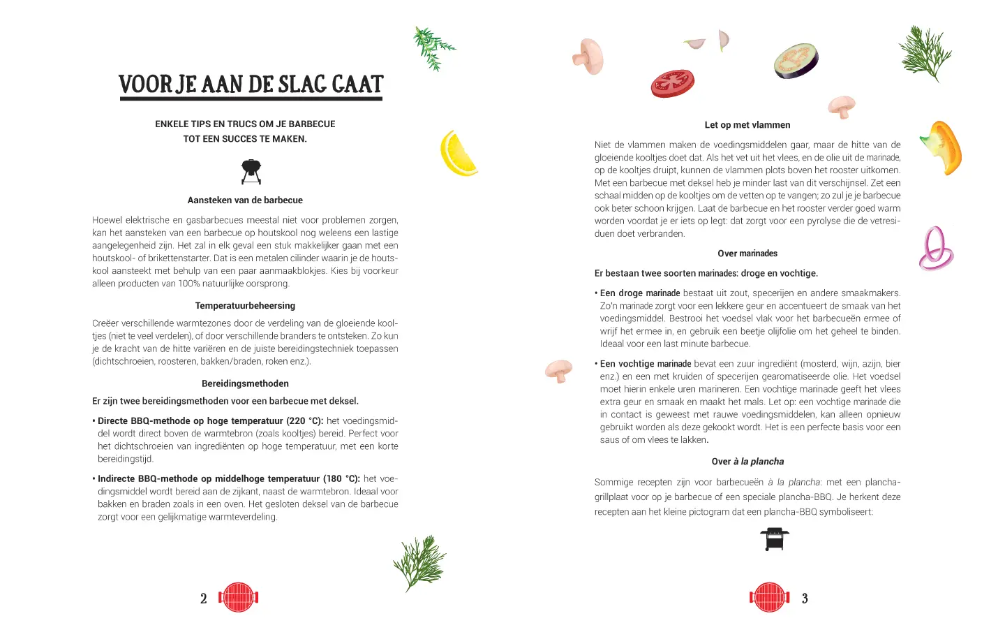 Voorbeeld pagina