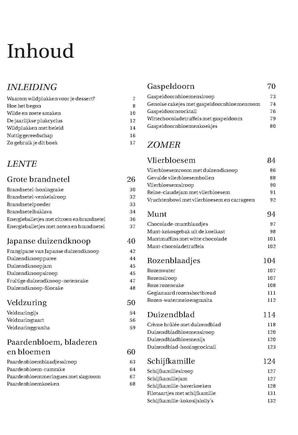 Voorbeeld pagina
