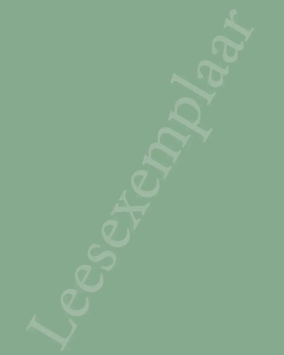 Voorbeeld pagina