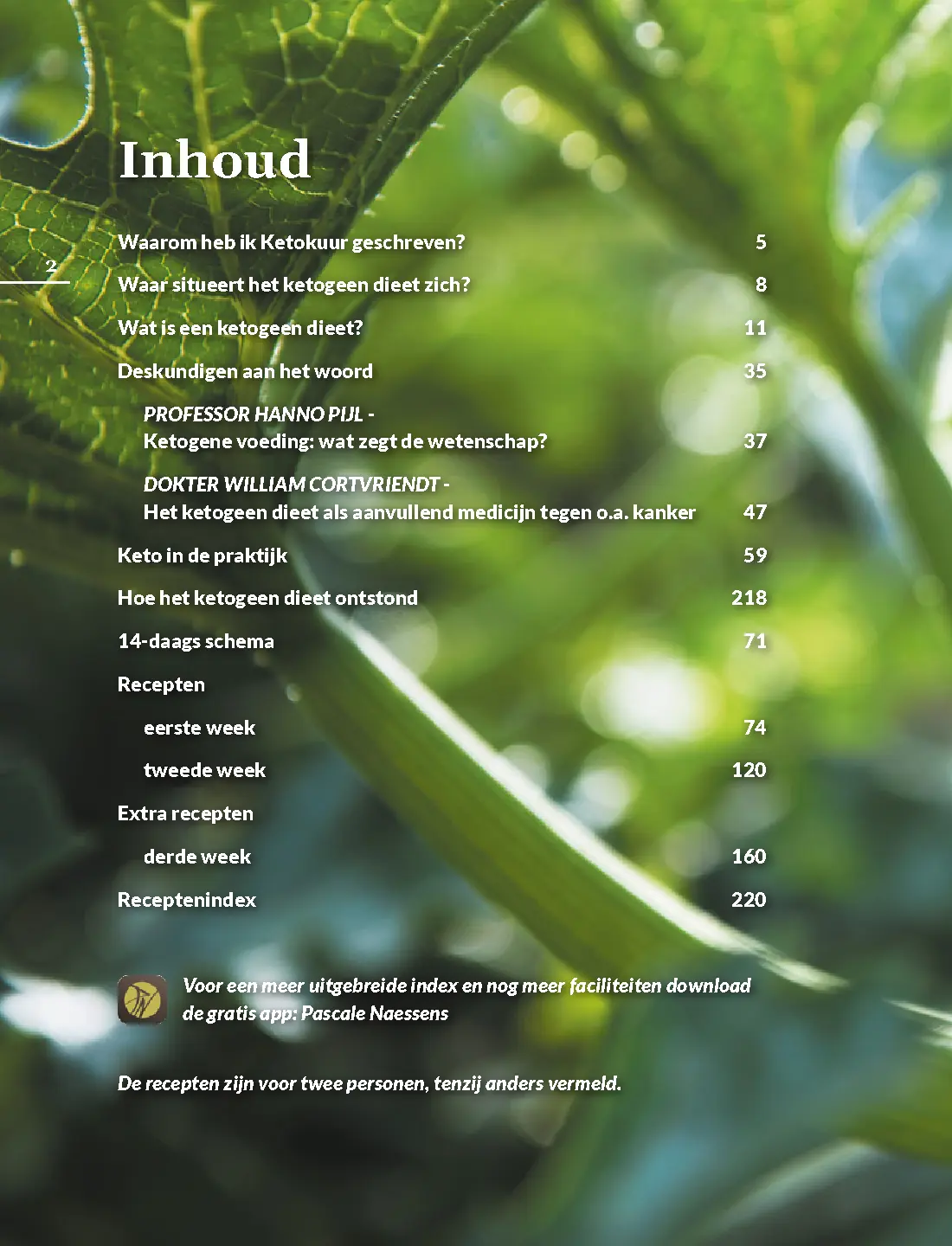 Voorbeeld pagina