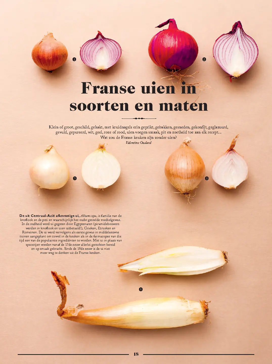 Voorbeeld pagina