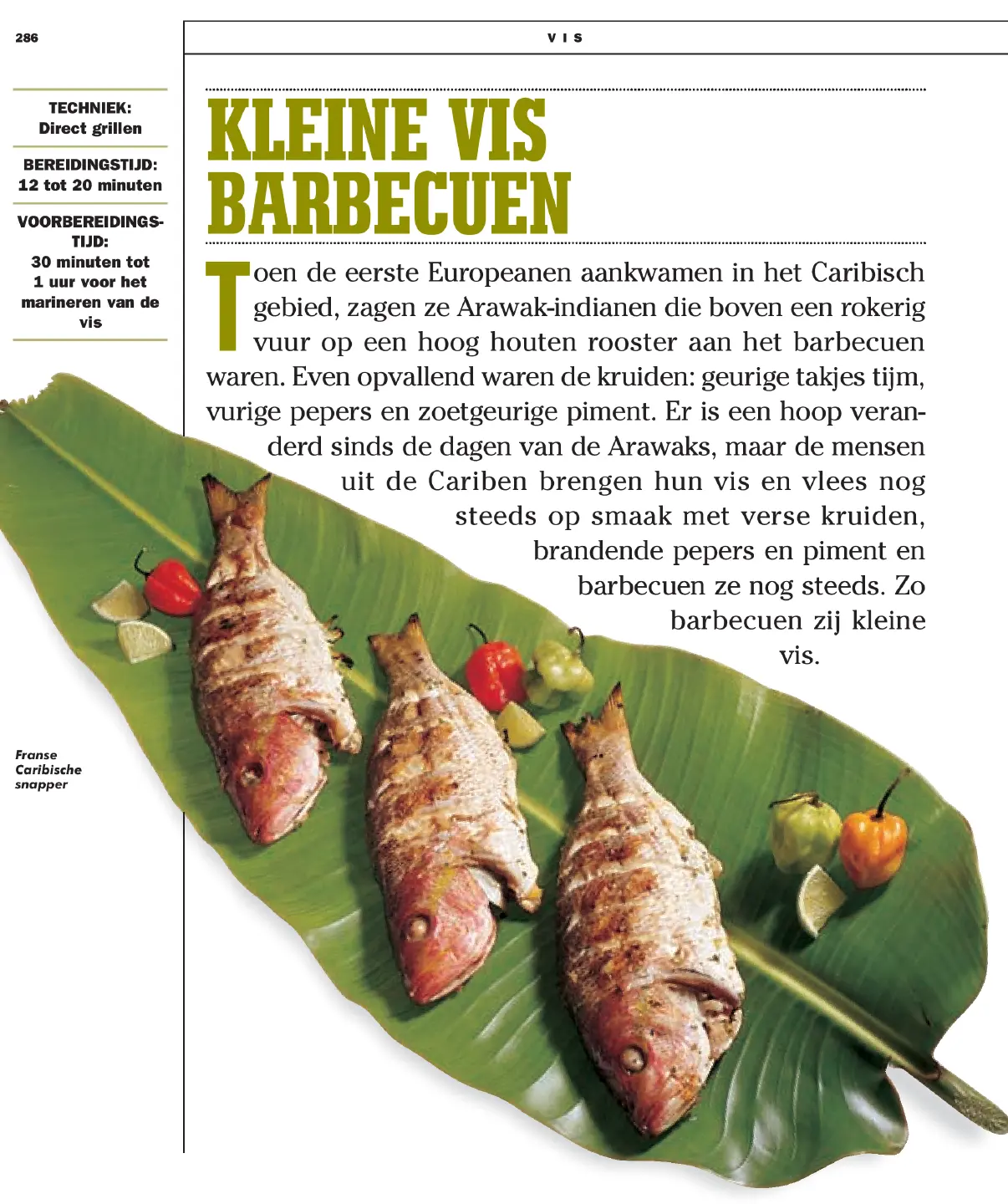 Voorbeeld pagina