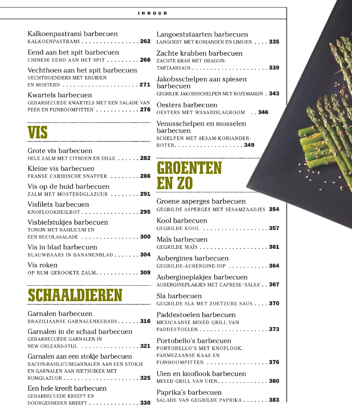 Voorbeeld pagina