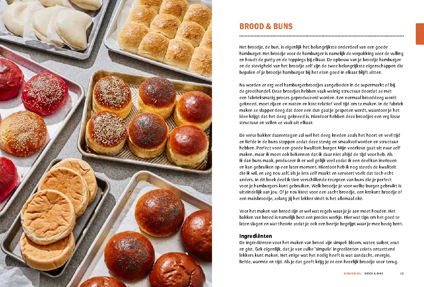 Voorbeeld pagina