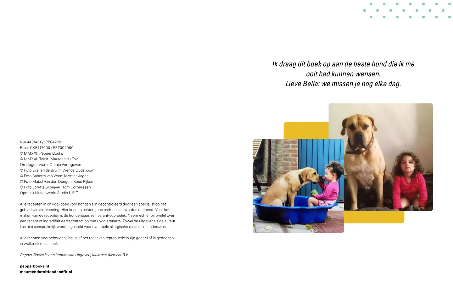 Voorbeeld pagina