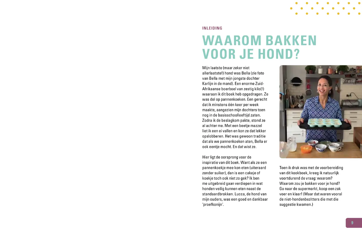 Voorbeeld pagina