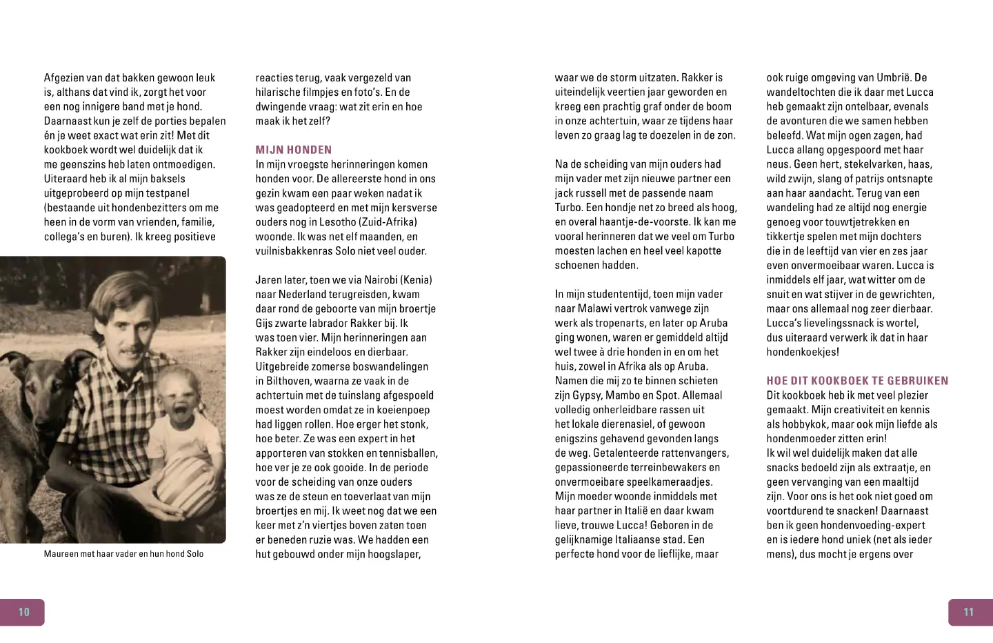 Voorbeeld pagina