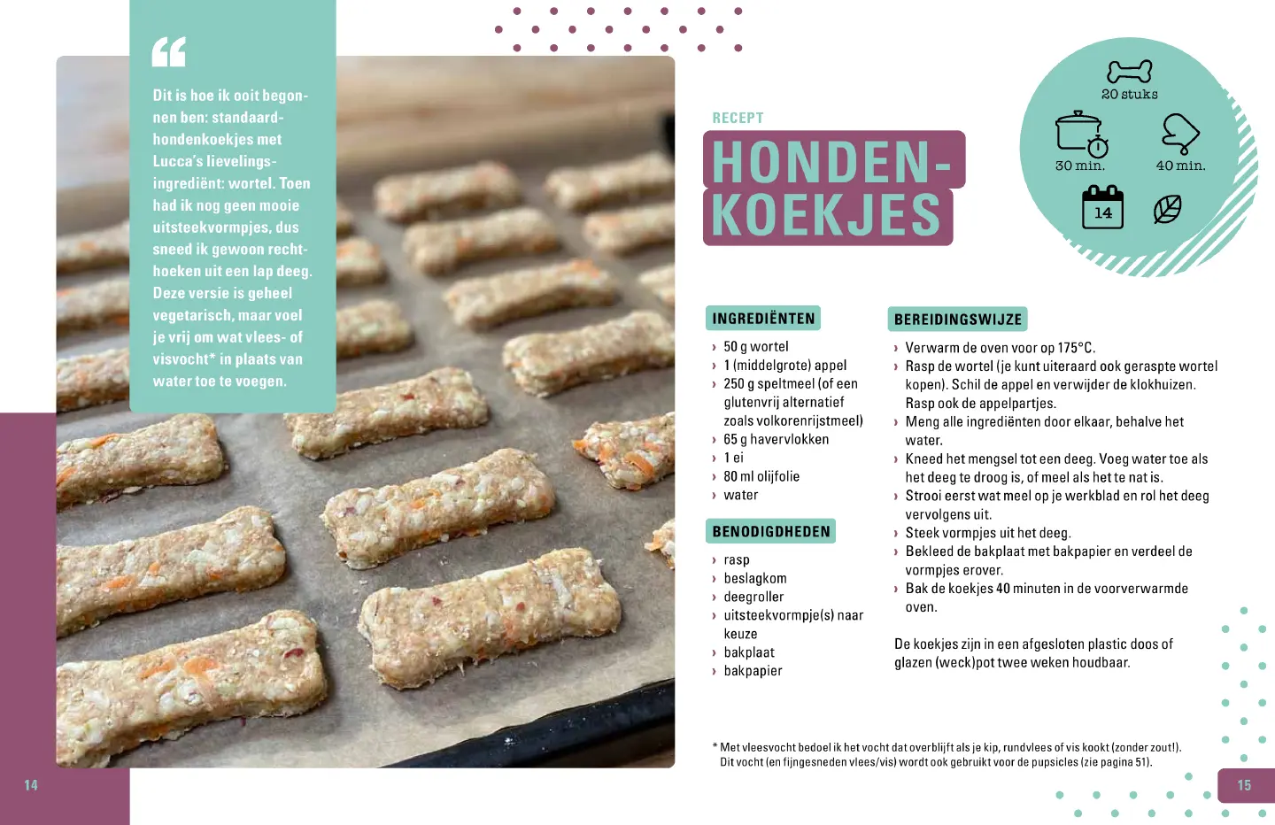 Voorbeeld pagina
