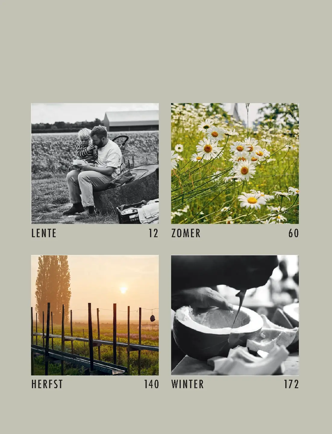 Voorbeeld pagina