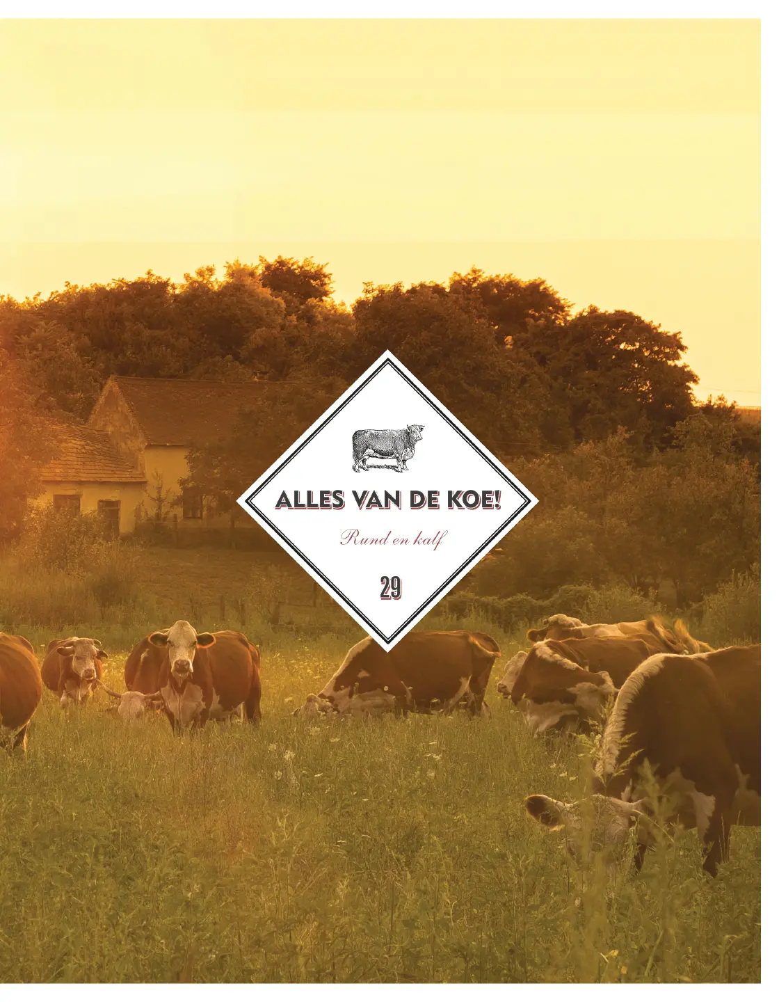 Voorbeeld pagina