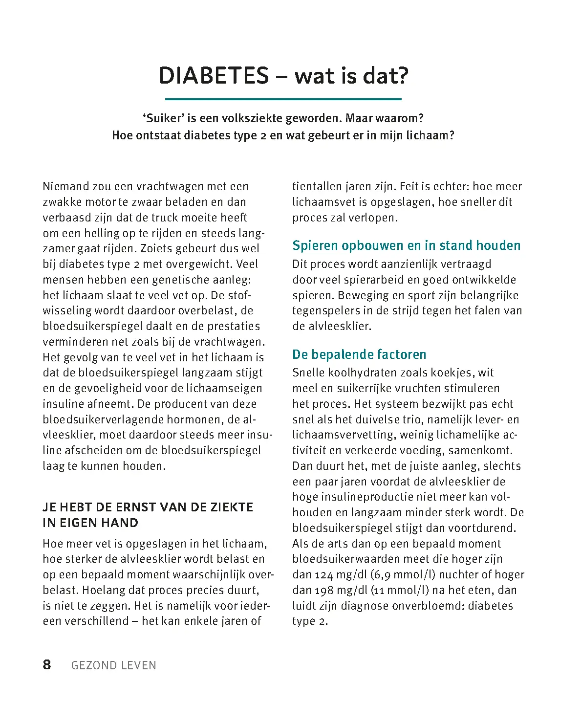 Voorbeeld pagina