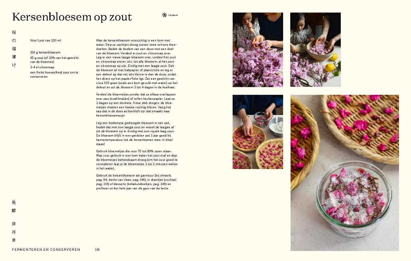 Voorbeeld pagina