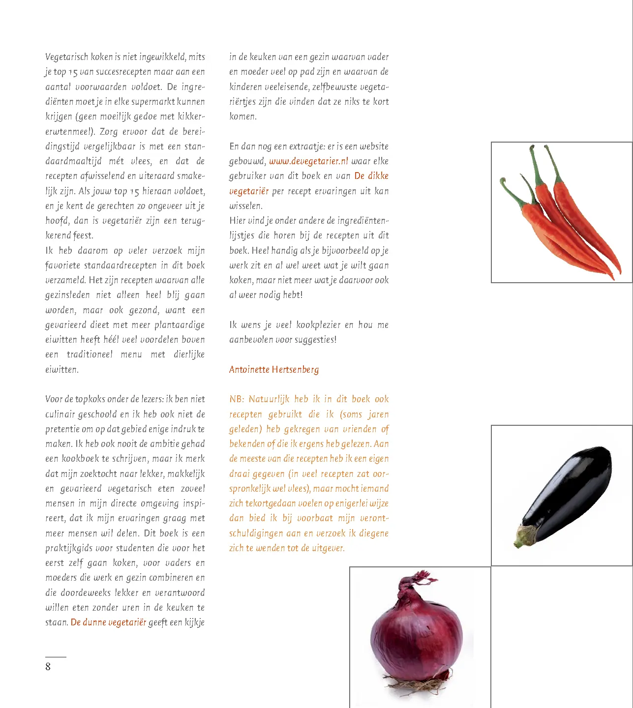 Voorbeeld pagina
