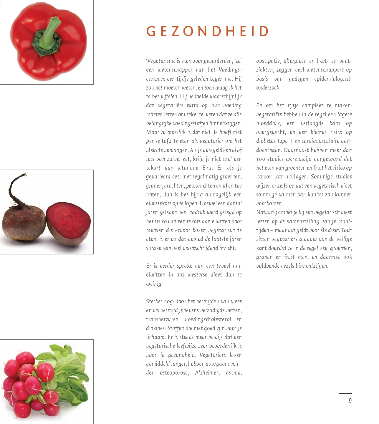 Voorbeeld pagina