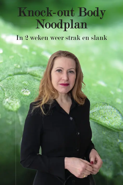 Cover van Knock-out Body Noodplan