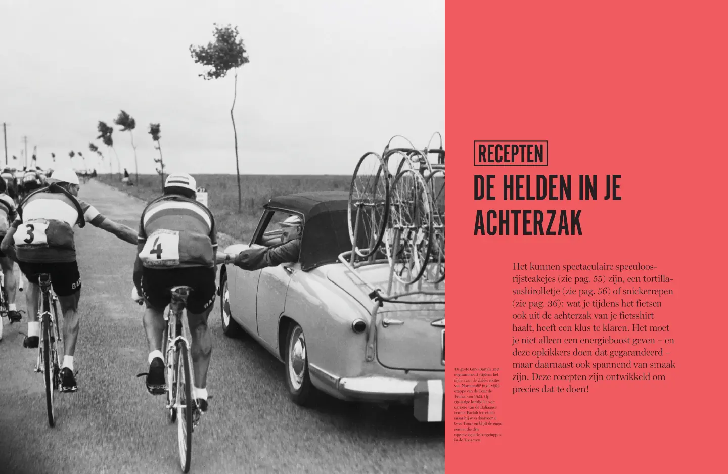 Voorbeeld pagina