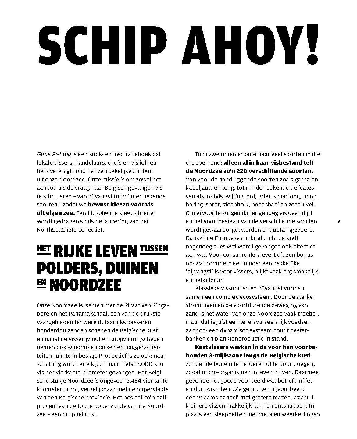 Voorbeeld pagina