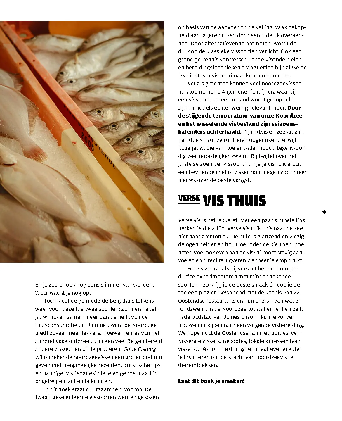 Voorbeeld pagina