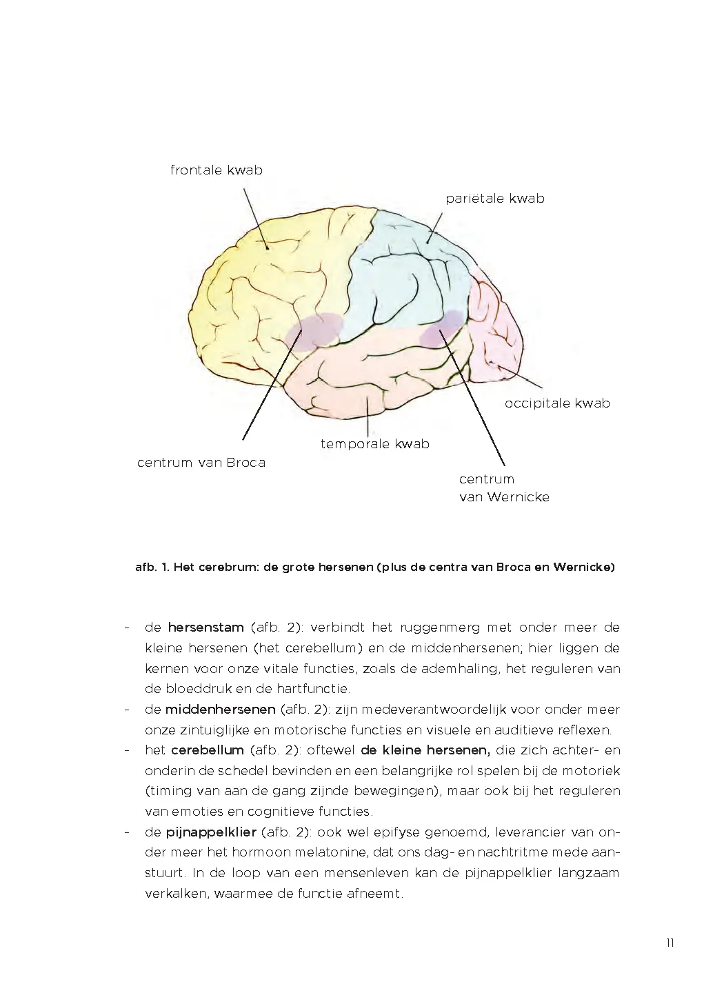 Voorbeeld pagina