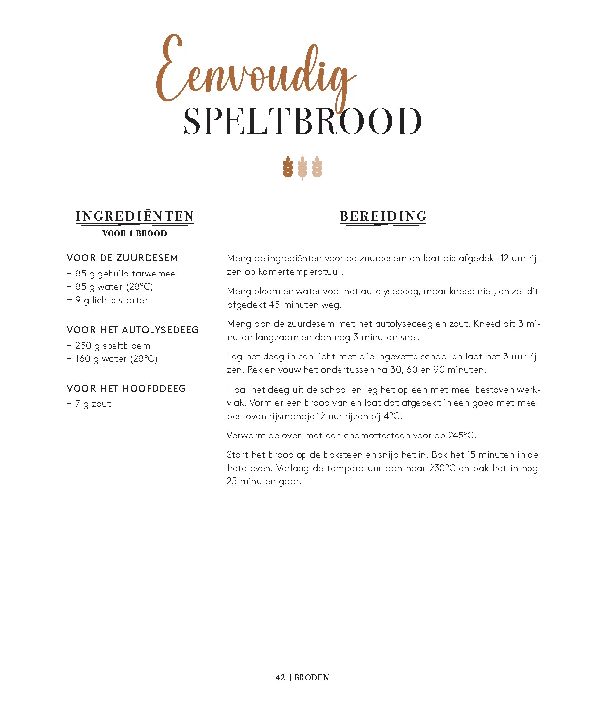 Voorbeeld pagina